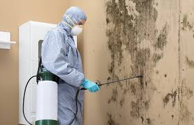 Best Mold Odor Removal Services  in The Plains, OH